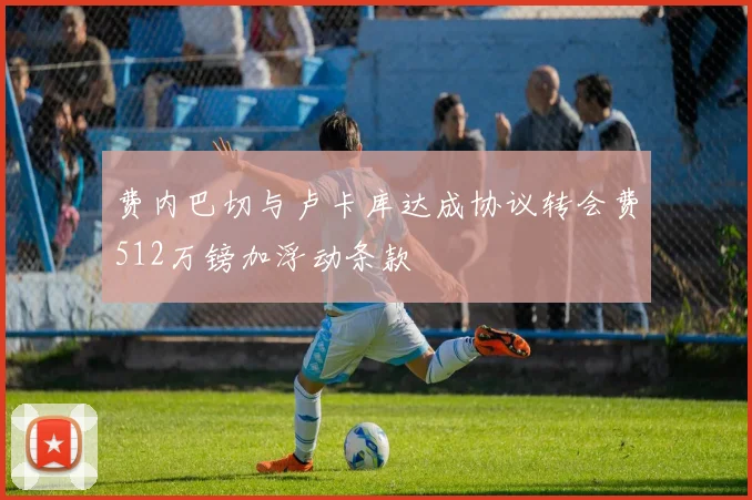 费内巴切与卢卡库达成协议转会费512万镑加浮动条款