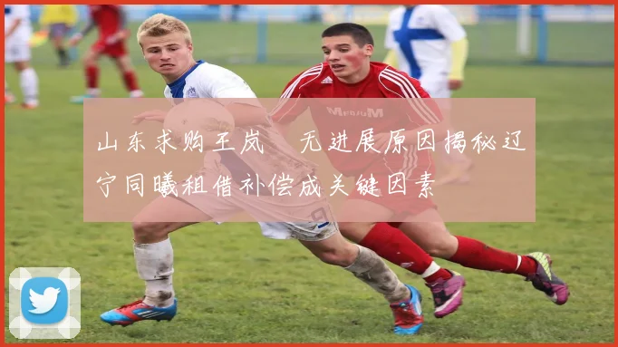 山东求购王岚嵚无进展原因揭秘辽宁同曦租借补偿成关键因素