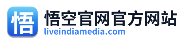 悟空官网官方网站